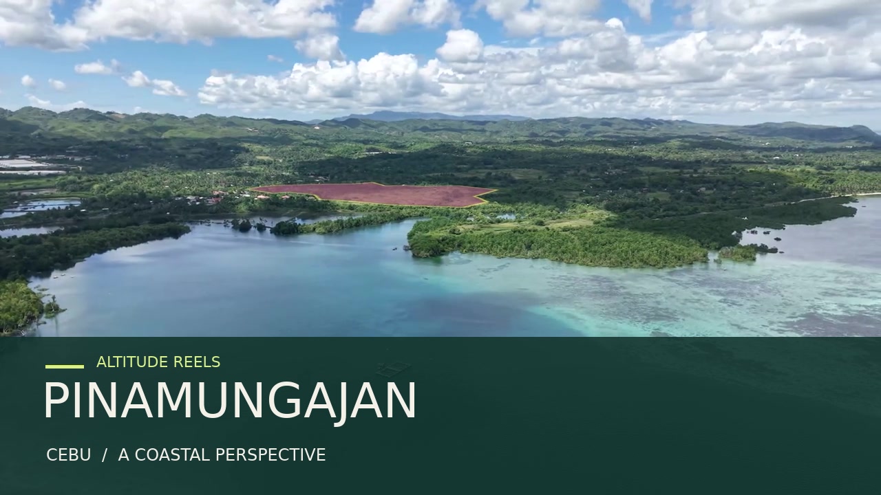 Pinamungajan Coast — aerial film